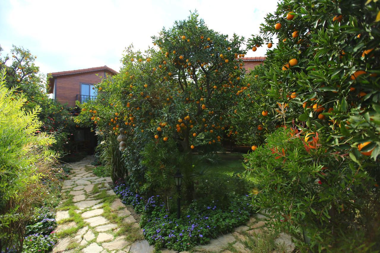 Bahce Villa Çıralı Exterior foto